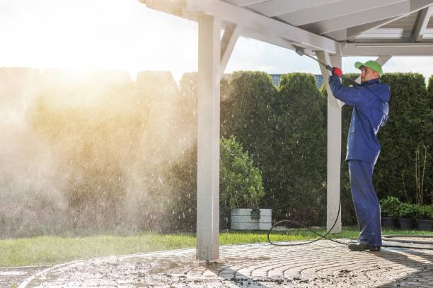 Best Dumpster Area Cleaning  in Auburn, KS
